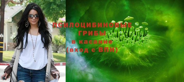 гашик Алзамай