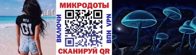 Галлюциногенные грибы MAGIC MUSHROOMS  MEGA маркетплейс  Ступино  купить наркотики сайты 